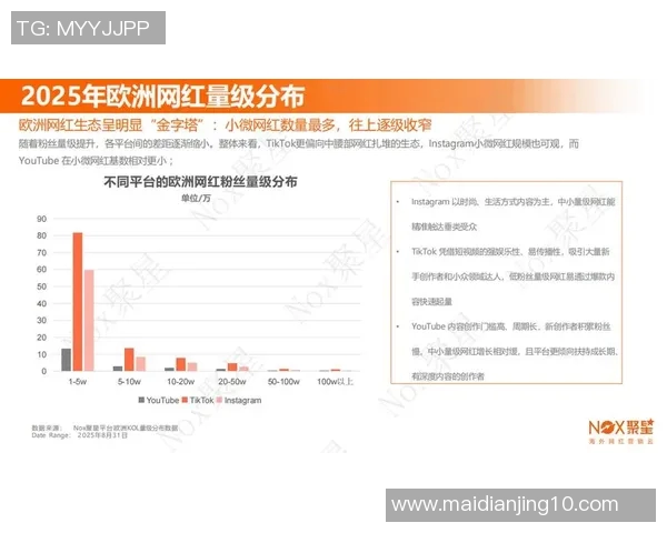 数据分析Instagram平台实力表现及其对品牌营销的影响探讨